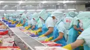 FTA thế hệ mới mở ra cơ hội xuất khẩu sang Trung Đông và Nam Á