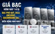 Giá bạc hôm nay 14/6: Bạc Phú Quý DOJI Ancarat Sacombank SBJ biến động ra sao?