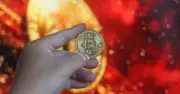 Giá Bitcoin giảm 2%, có thể chạm đáy 50.000 USD trong tương lai gần
