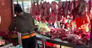 Giá heo hơi hôm nay 19/6/2026: Tiếp tục giảm, miền Nam thấp nhất cả nước