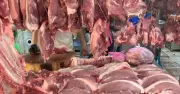 Giá heo hơi hôm nay ổn định, miền Nam thấp nhất cả nước