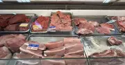 Giá heo hơi miền Bắc ngừng giảm, dao động 67.000-68.000 đồng/kg