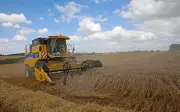 Giá lúa mì giảm mạnh do áp lực nguồn cung và thanh lý vị thế