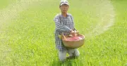 Giá phân bón tháng 5 tăng mạnh do ảnh hưởng xung đột Trung Đông