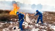 Giữ rừng giữa mùa gió Lào: Quảng Trị đối mặt cháy rừng cấp cực kỳ nguy hiểm