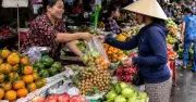 Giá trái cây nội địa giảm mạnh dù xuất khẩu tăng: Nghịch lý thị trường
