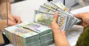 Giá USD hôm nay 19/6/2026: Đồng loạt tăng, tỷ giá trung tâm lên 25.181 đồng