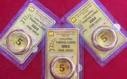 Giá vàng hôm nay 11/6: SJC, nhẫn giảm mạnh, Minh Châu, DOJI, Phú Quý lao dốc