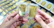 Giá vàng hôm nay 16.6.2026: Dứt mạch tăng, chờ xu hướng mới