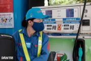 Giá xăng dầu hôm nay 11/6: Giảm mạnh, có loại hơn 1.000 đồng/lít