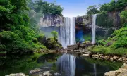 Gia Lai công bố logo và slogan Khu Dự trữ sinh quyển Kon Hà Nừng