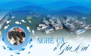 Gia Lai giải bản gần 1.000 tàu cá, hiện đại hóa ngành thủy sản