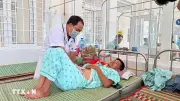Gia Lai phát hiện hàng loạt vi phạm sau vụ nghi ngộ độc bánh mỳ