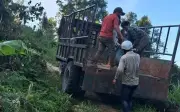 Gia Lai truy bắt nghi phạm nổ súng giết người lẩn trốn trong rừng sâu