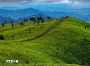 Gia Lai truy tìm nghi phạm liên quan vụ nổ súng làm một người tử vong