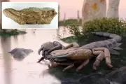 Giải mã bí ẩn 150 năm về loài bọ cạp khổng lồ hung dữ nhất Trái Đất