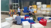 Giám đốc công ty sản xuất hàng nghìn sản phẩm thực phẩm giả bị khởi tố