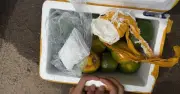 Giấu gần 100g ma túy trong thùng cam, thiếu niên 17 tuổi bị khởi tố