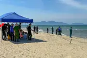 Gần 100 người tìm kiếm du khách Nga mất tích tại bãi biển Đà Nẵng