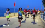 Gần 1.800 VĐV tham gia Giải chạy Lý Sơn Half Marathon