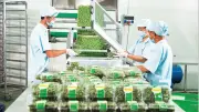 Gắn mã truy xuất nguồn gốc hàng hóa: Lá chắn bảo vệ nhà sản xuất và người tiêu dùng