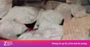 Hà Nội bóc gỡ đường dây ma túy tinh vi qua mạng xã hội