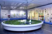 Hà Nội công bố Quy hoạch tổng thể thủ đô tầm nhìn 100 năm