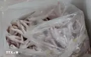 Hà Nội khởi tố 2 bị can trong vụ buôn lậu hàng nghìn tấn chân gà