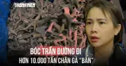 Hà Nội khởi tố vụ buôn lậu hơn 10.000 tấn chân gà bẩn từ kho lạnh