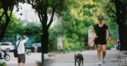 Hà Nội sáng 9/6 mát lạnh hiếm thấy, người dân thích thú tận hưởng không khí mùa thu