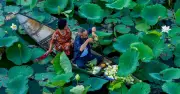 Hồ Tịnh Tâm: Không gian 'chữa lành' giữa lòng Kinh thành Huế