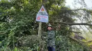 Hà Tĩnh tăng cường phòng cháy rừng trong cao điểm nắng nóng, gió Lào