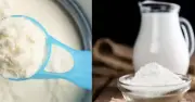 Hai ổ dịch ngộ độc Botulinum tại Mỹ từ sữa công thức trẻ sơ sinh