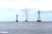 Hai giám đốc sở ở Cà Mau bị chất vấn về dự án điện gió