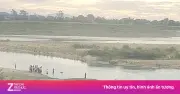 Hai nam sinh mất tích khi tắm trên sông Lam ở Nghệ An