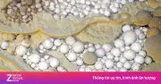 Hang Thắng ở Phong Nha - Kẻ Bàng: Hàng trăm ngọc động hiếm gặp khiến nhà thám hiểm sửng sốt
