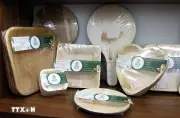 Hồi sinh phế phẩm mỏ câu thành bất động sản một lần hướng tới tiêu dùng xanh
