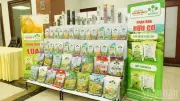Hội thảo định hướng phát triển ngành phân bón quốc gia giữa biến động địa chính trị