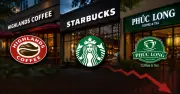 Highlands, Starbucks, Phúc Long đồng loạt giảm điểm trong bảng xếp hạng F&B 2026