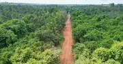 Hiện trạng tuyến đường xuyên rừng trước khi khởi công 13km cầu cạn trên cao