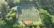 Hơn 1.000 giảng viên, sinh viên Đại học Trà Vinh đồng diễn múa Saravan