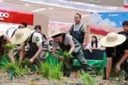 Hơn 1000 người thi cấy lúa trong trung tâm thương mại ở Trung Quốc