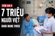 Hơn 7 triệu người Việt mang virus viêm gan B, nguy cơ ung thư gan