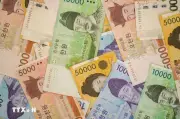 Hàn Quốc: Những yếu tố chính khiến đồng won tiếp tục trượt giá