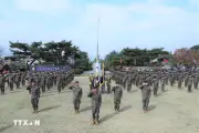 Hàn Quốc từng bước thay thế nghĩa vụ quân sự bắt buộc bằng chế độ tự nguyện