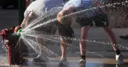 Hàng chục triệu người Mỹ chịu nắng nóng như thiêu đốt, châu Âu ghi nhận kỷ lục nhiệt