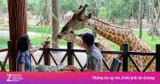 Hướng dẫn viên robot, dùng bữa cùng cá mập: Trải nghiệm độc lạ kéo du khách đến Bắc đảo Phú Quốc