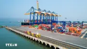Hàng hóa qua cảng Hải Phòng tăng hơn 11%, đón siêu tàu gần 214.000 DWT