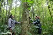 Hành động vì khí hậu: Đừng chờ những 
