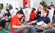 Hành trình Đỏ 2026: Quảng Ngãi tiếp nhận 580 đơn vị máu, vượt chỉ tiêu
